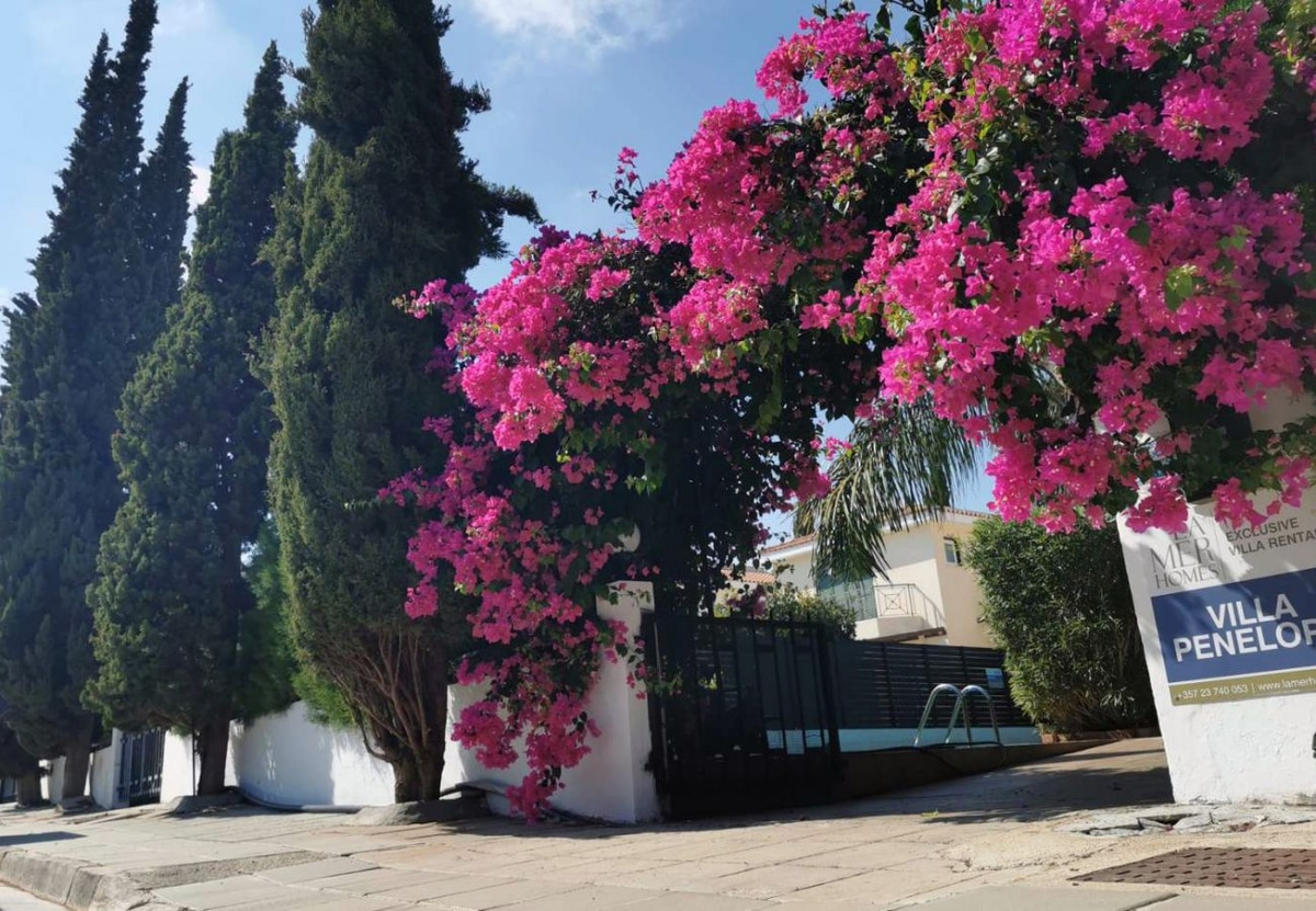 Villa Penelope - Photo 5