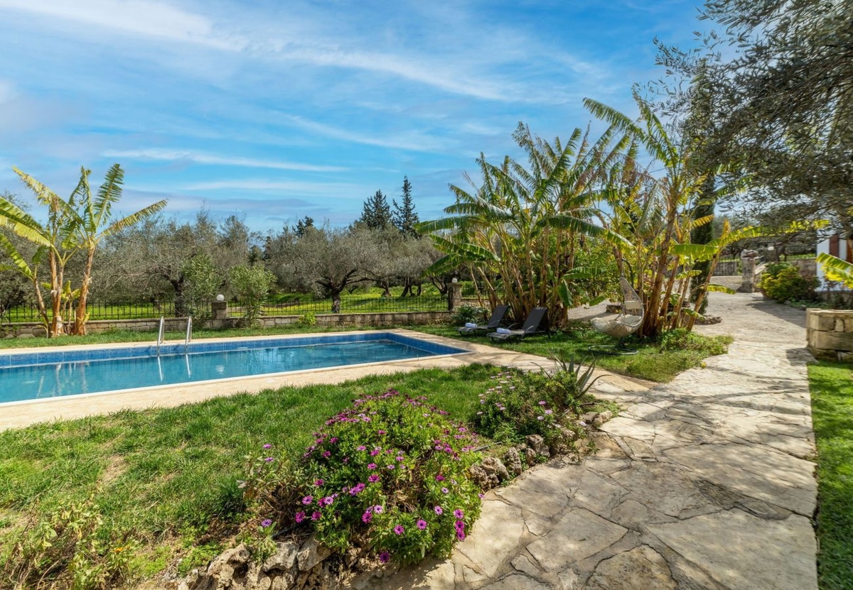 Villa Klapas - Crete - Photo 7