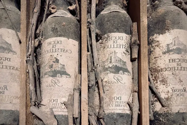 Vintage dusty wine bottles in a wooden crate, covered with dirt and sticks. - Photo by Jana…
