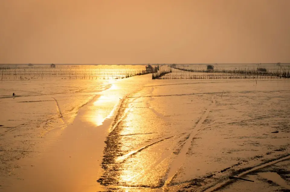 Peaceful golden sunset reflecting on serene mudflats. Ideal for travel and nature themes. -…