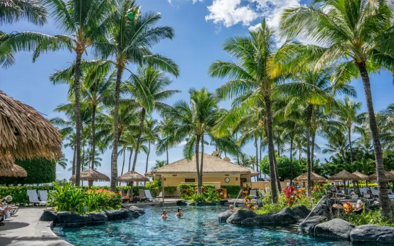 Relaxing tropical resort scene with palm trees, swimming pool, and clear blue sky. - Photo by…