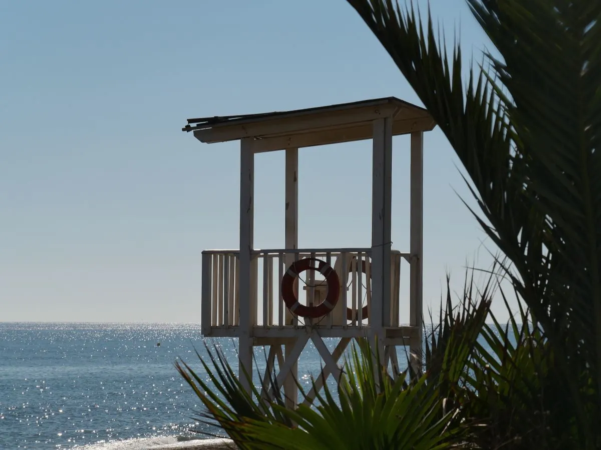 Tranquil beach with lifeguard tower and palm trees under a clear blue sky. - Photo by Dirk…