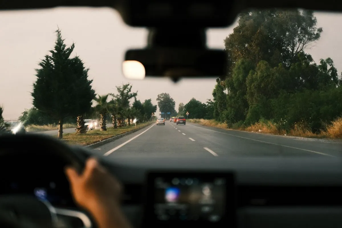 View from inside a moving car driving down a tree-lined open road at dusk. - Photo by Ceren…