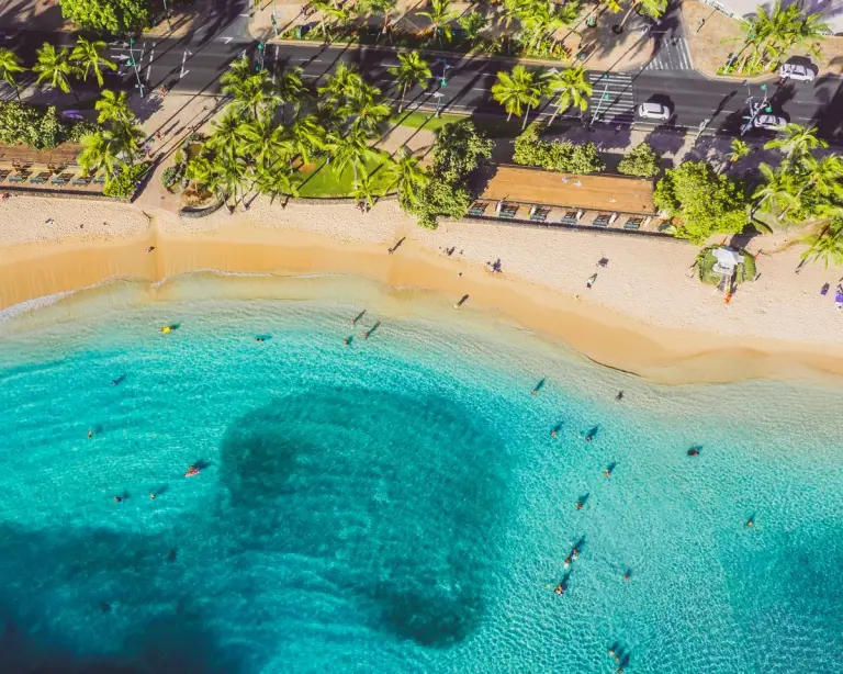 Stunning aerial view of a tropical beach with turquoise water and palm trees, perfect for a…